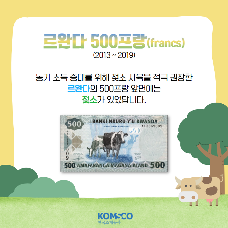 2013년 부터 2019년까지 사용된 르완다 500프랑(francs).  농가 소득 증대를 위해 젖소 사육을 적극 권장한 르완다의 500프랑 앞면에는 젖소가 있었답니다.