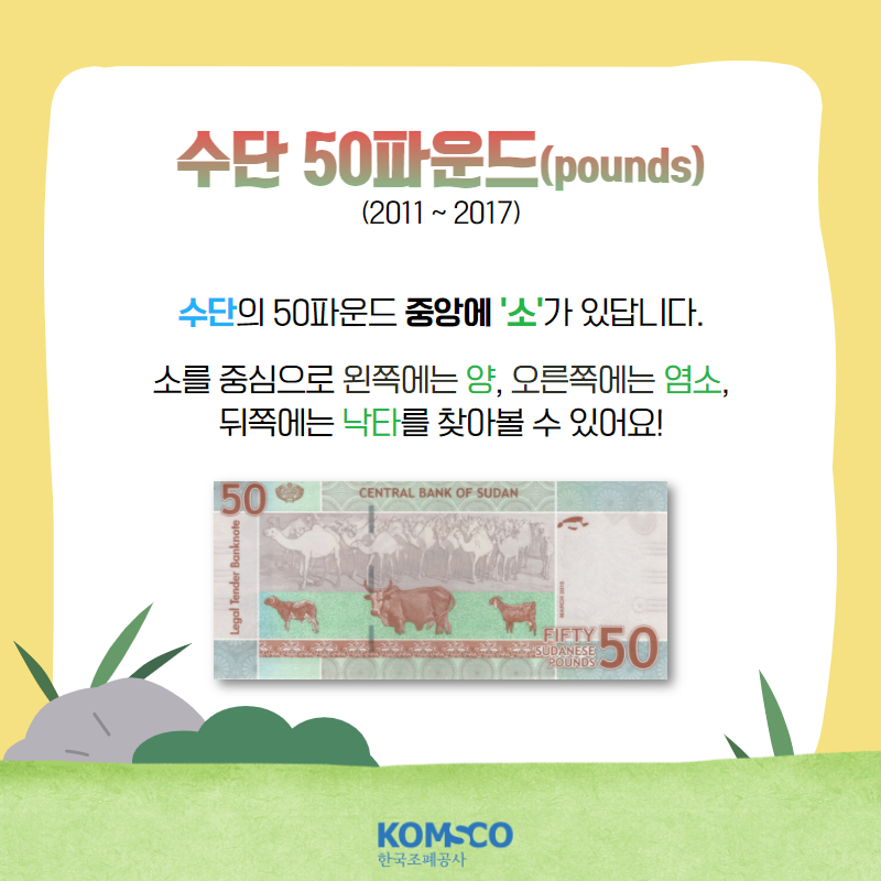 2011년부터 2017년까지 사용된 수단 50파운드(pounds).  수단의 50파운드 중앙에 '소'가 있답니다.  소를 중심으로 왼쪽에는 양, 오른쪽에는 염소, 뒤쪽에는 낙타를 찾아볼 수 있어요.