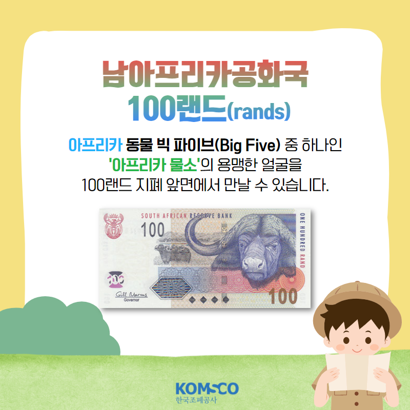 남아프리카공화국 100랜드(rands).  아프리카 동물 빅 파이브(Big Five)중 하나인 '아프리카 물소'의 용맹한 얼굴을 100랜드 지폐 앞면에서 만날 수 있습니다.