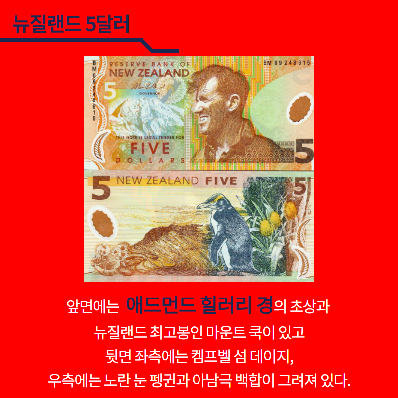 뉴질랜드 5달러.  앞면에는 애드먼드 힐러리 경의 초상과 뉴질랜드 최고봉인 마운트 쿡이 있고 뒷면 좌측에는 켐프벨 섬 데이지, 우측에는 노란 눈 펭귄과 아남극 백합이 그려져 있다.